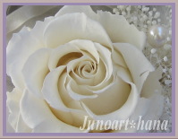 �A���e�B�[�N�z���C�g�@Junoart*��