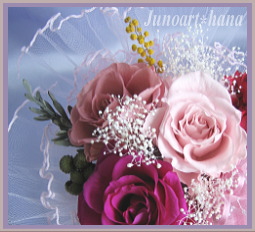 �A�[���A���[�Y�@Junoart*��