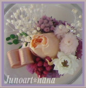 ���g���L�����h���@Junoart*��