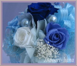 �~�X�e�B�[�u���[�@Junoart*��