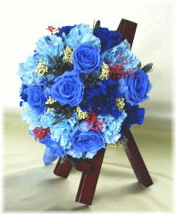 �v���U�[�u�h�t�����[